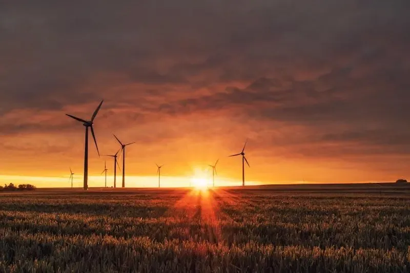 OPEX vs CAPEX Solar: Which Model is Right for Your Business?